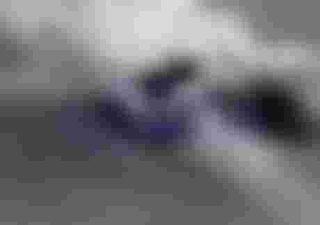 ION hard shell harnesses 3D Fit Technology