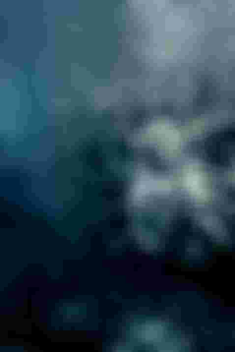 ION Tales of the waterwomen Christina Gindl