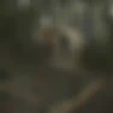 ION Bike_Athletes_NicoVink_Screengrab2