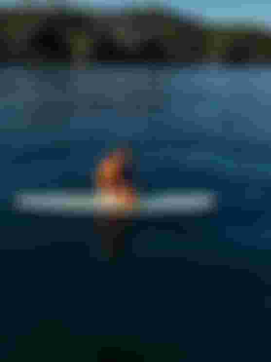 A person in an orange shirty kneels on a surfboard, touching the water, with a wooded coastline in the background.