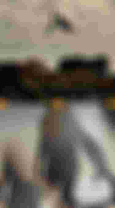 Two split image: wing foiler in the air above rocks in the foreground, on the bottom a silhouetted person carrying a kitesurfboard and wearing a kite harness