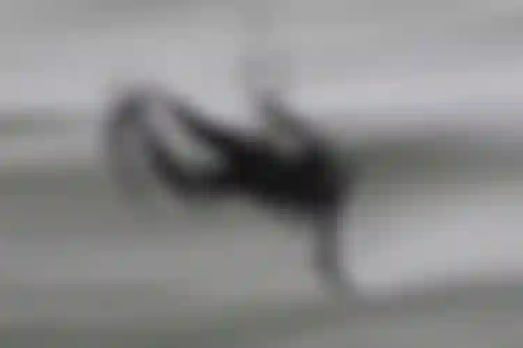 ION Water_Wetsuit Insights_Cold Water Neoprene