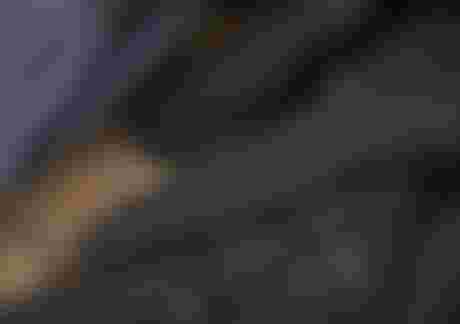 ION Wetsuit Guide men