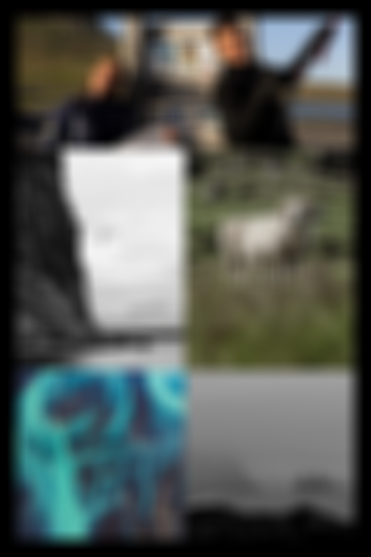 Collage from the ION team trip to Iceland with nature shots from sheeps, beach and under water glaciers