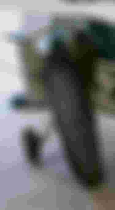 Surf boardbag in a gray cover leans against a small aircraft's open door in a hangar. The plane's fuselage has green and white markings.