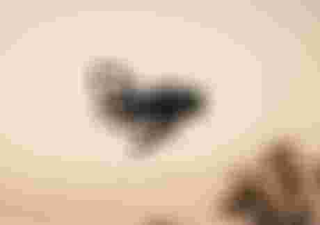 ION Bike_Sale_MTB Gloves_Special