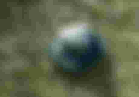 A blue bucket hat floating in clear, shallow water with scattered green seaweed on a sandy bottom.