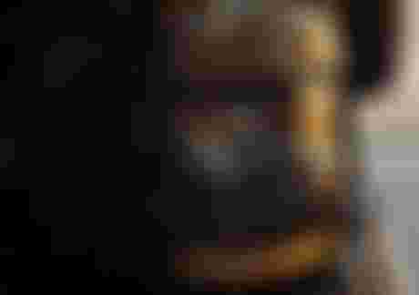 Close-up of a person wearing a wetsuit with a reflective waist belt, droplets on the surface, and wet hair in a sunset-lit scene.