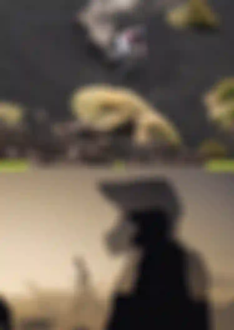 Top: Person biking down a dark, dusty slope with scattered vegetation. Bottom: Silhouetted profile of a biker holding a helmet at sunset.
