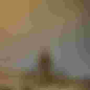 _DSC8367photo_Bartek_Wolinski_@wolisphoto