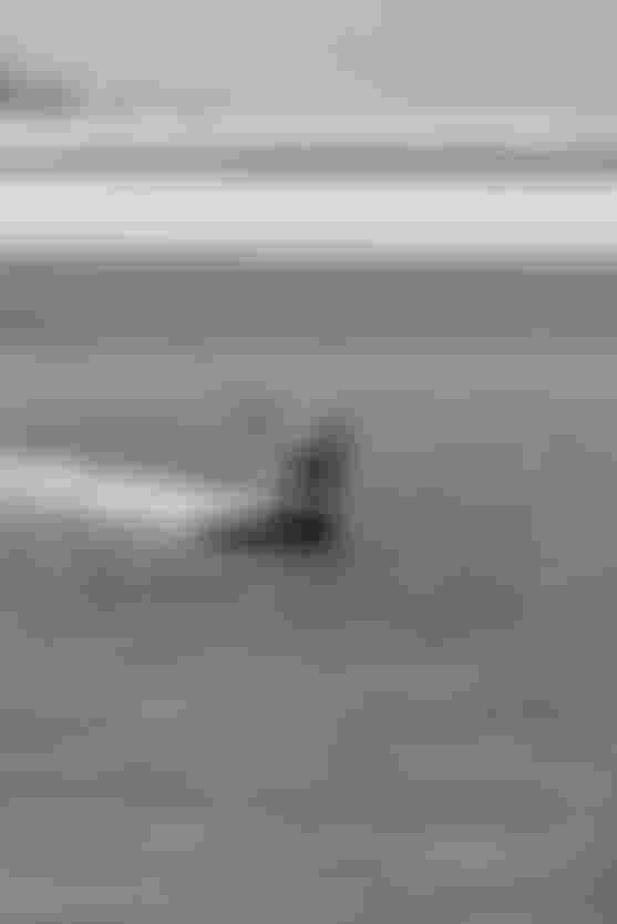 Person kiteboarding on a sunny day, creating spray in the water, with a sandy shoreline visible in the background. Black and white image.