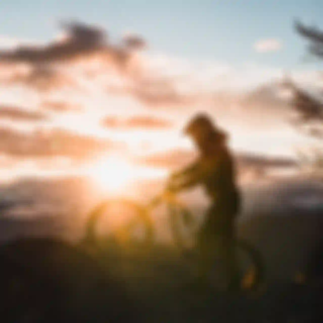 ION Bike Company Jobs