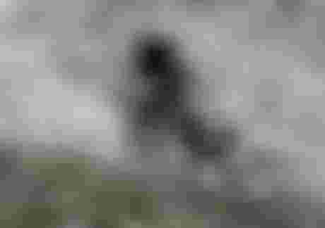 ion-bike_knee_protection_max-schumann_tee-ss-scrub-amp_k-pact-thundergrey_enduro-freeride