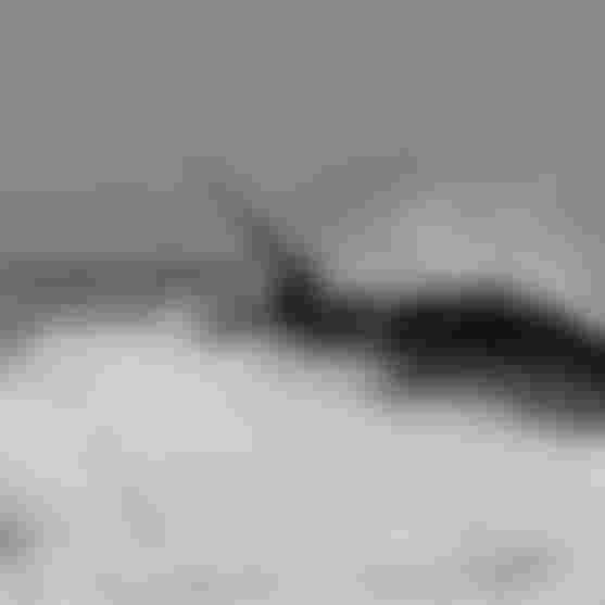 ion water athletes_Maria Behrens_Denmark