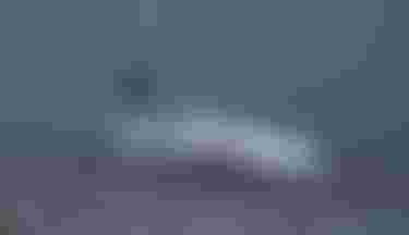 ion water athlete_Maria Behrens_Denmark