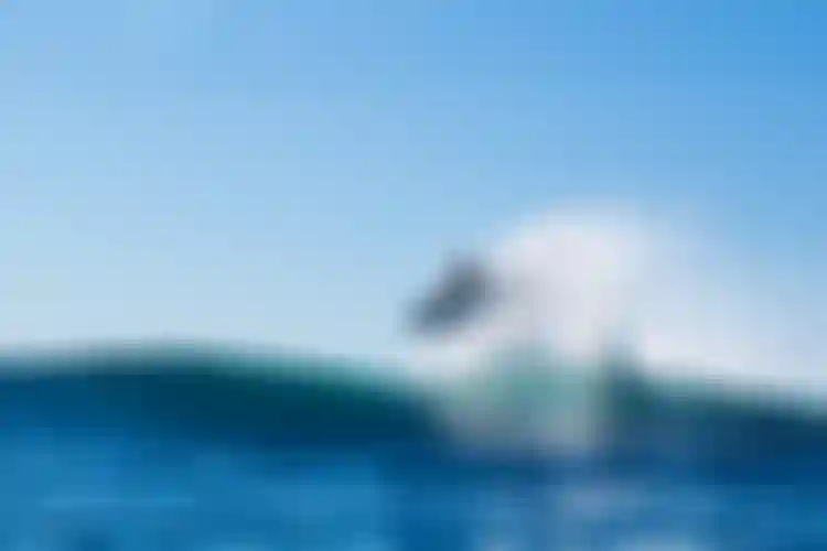 ion-water-link-in-bio-imprint-2