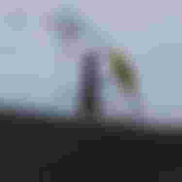 ion water athletes_Maria Behrens_Denmark