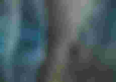 ION wetsuits sustainability