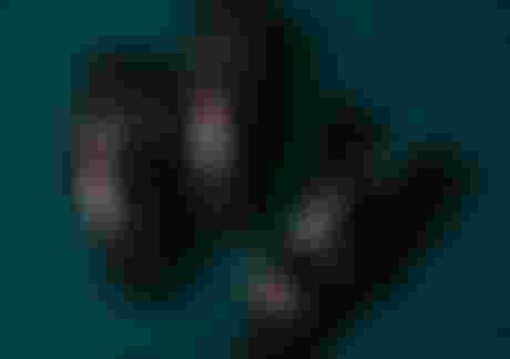 The-Protection-Bundle-3