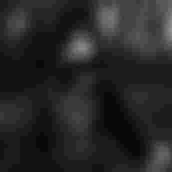 ION Bike_ARCON HD Pro_NicoVink