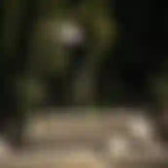 BMX rider performing a no-handed aerial trick above a series of concrete dirt jump blocks lined with trees.
