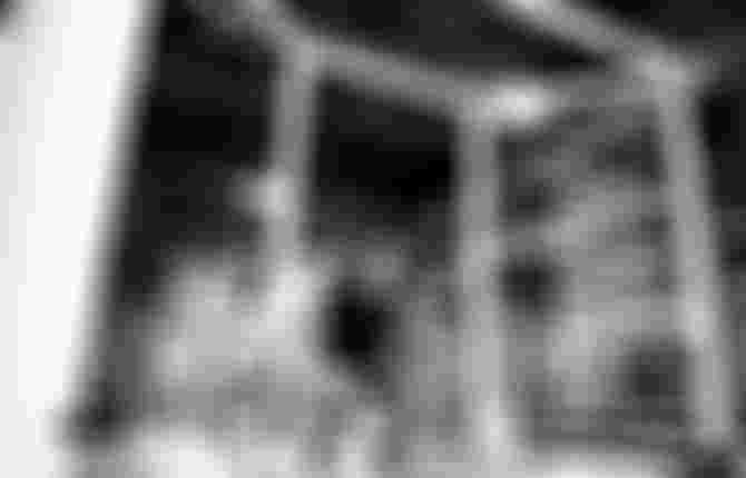 Andrea Principi Squats Gym ION Journal