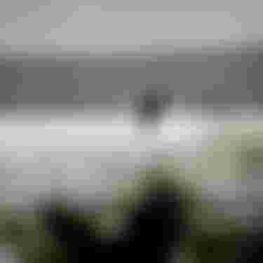 Camille Losserand Ion Water Kite