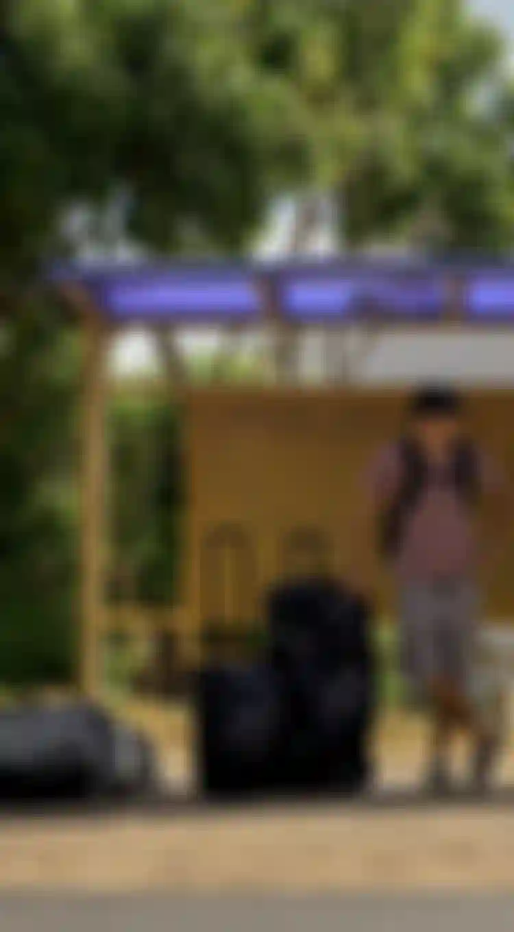 A person stands at a bus stop with several pieces of luggage, including suitcases and a large black bag, surrounded by trees and a house.