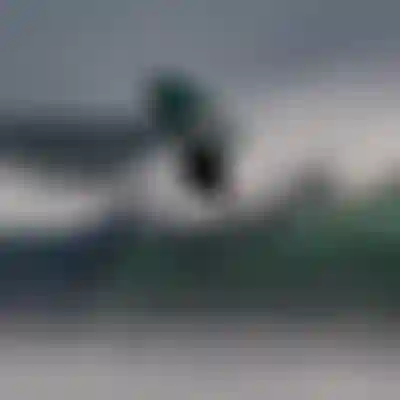 ION Windsurfing harnesses 3D Fit Technology