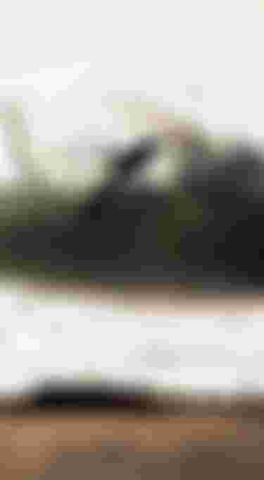 ION Club Home of Surfing Elements