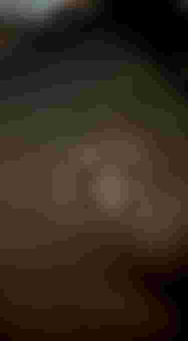 ION Waterwear for men