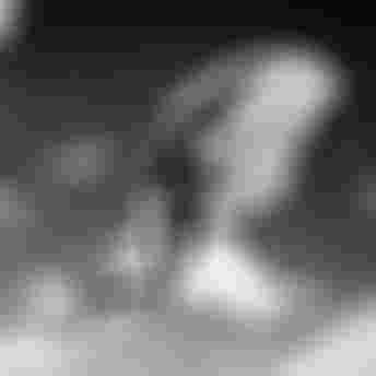 ION Wing harness Rogue