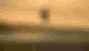 Camille Losserand Ion Water Kite