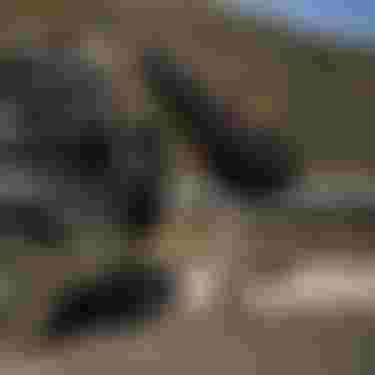 Ion Water Athletes_Rocco Sotomayor_Capetown