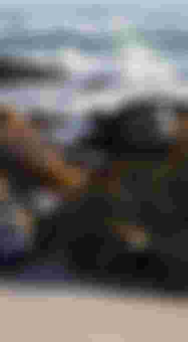 Various harnesses rest on rocks by a sandy beach, with waves and distant cliffs in the background.