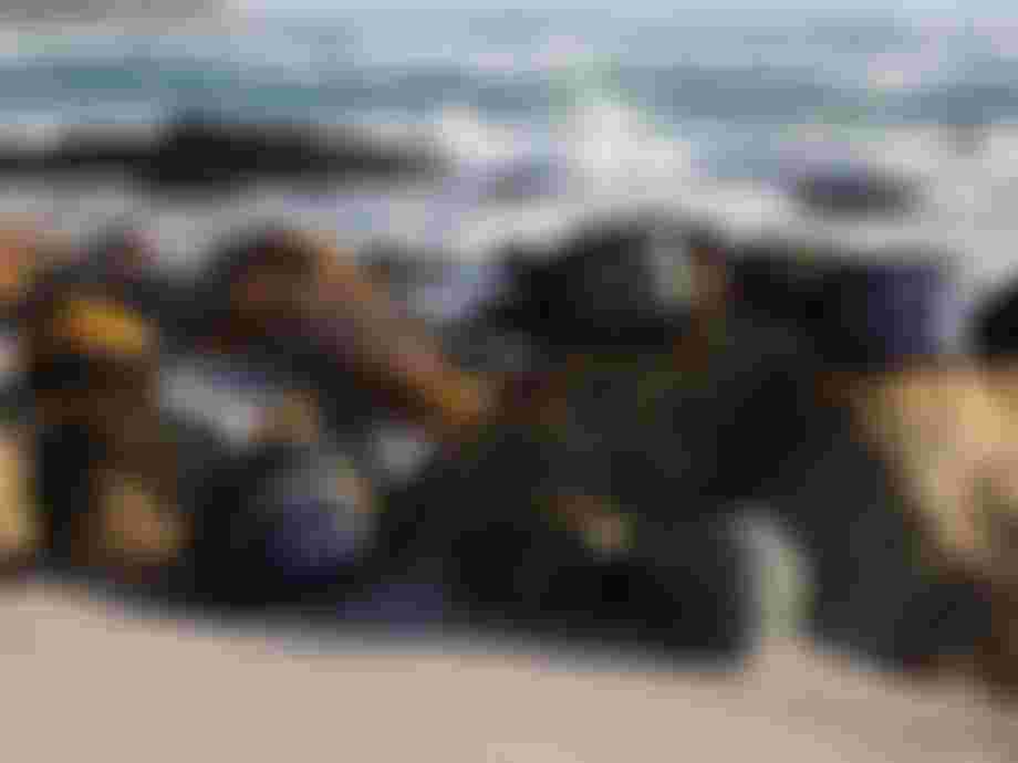 Various harnesses rest on rocks by a sandy beach, with waves and distant cliffs in the background.