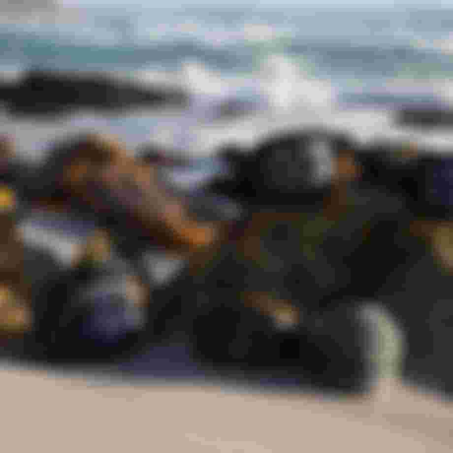 Various harnesses rest on rocks by a sandy beach, with waves and distant cliffs in the background.