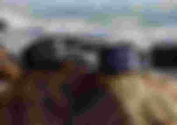 Two waist packs are placed on rocks by the ocean, with waves in the background. One is black, the other has a purple pattern.