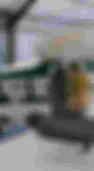 A person carries a surfboard near a vintage green and white airplane in a hangar, with multiple bags on the floor.