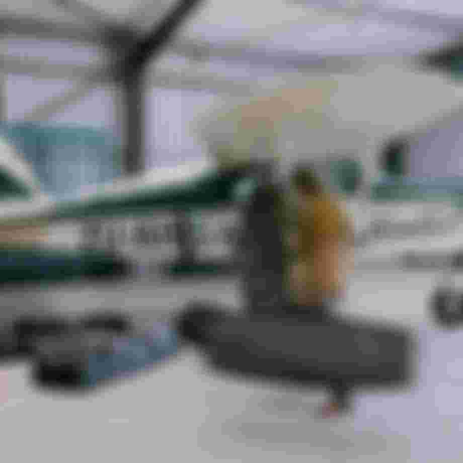 A person carries a surfboard near a vintage green and white airplane in a hangar, with multiple bags on the floor.