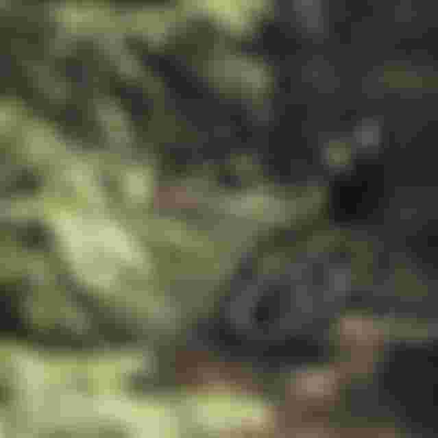 ION Bike New Range Scrub