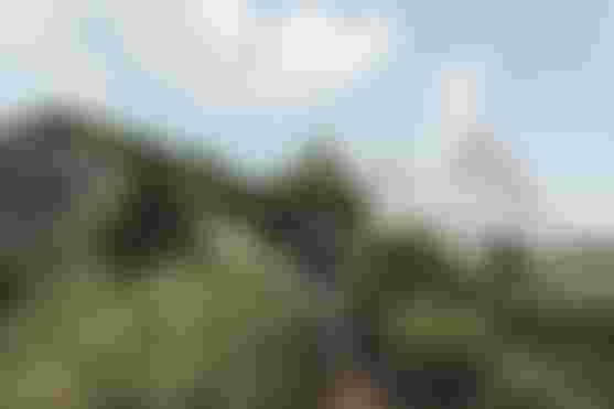 Traze Amp AFT Bundle Men_All mountain Enduro Bikewear