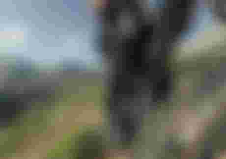 Close-up of a mountain biker's legs and bike on a grassy hill, with protective gear and rugged mountains in the background under a blue sky.