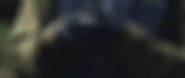 ION Bike_Gloves_Header2