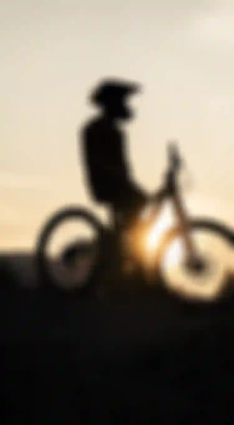 ION Bike_Size Guide