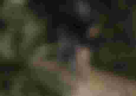 ion bike new tech logo line pants störer