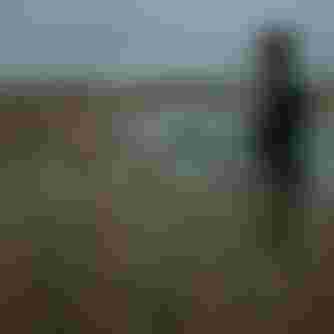 Surfer in wetsuit holding a surfboard stands in a grassy field under an overcast sky, gazing into the distance.