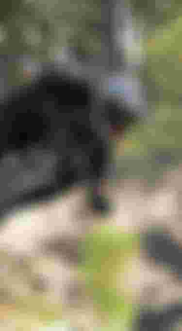 ION Bike_Antoine Bizet_Scrub_Evo Bikepark