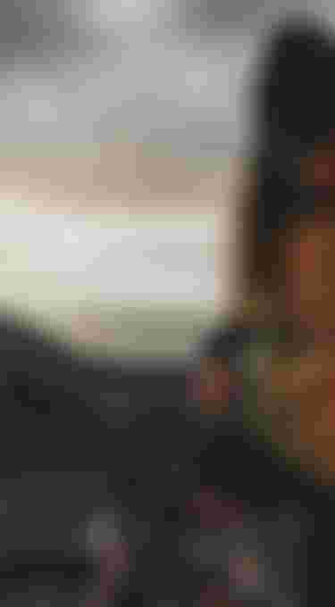 ion women bikewear header