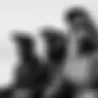 _DSF3601photo_Bartek_Wolinski_@wolisphoto